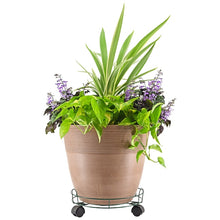 Arcadia Garden Products 13-in L x 1.5-in D x 4.8-in H Green Plant Caddy