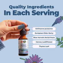 MARYRUTH'S Lymphatic Support Liquid Drops | USDA Organic | Herbal Blend with Echinacea & Elderberry | Blue Vervain | Yarrow Leaf | Vegan | Alcohol-Free | Non-GMO | CLP Certified | 1 oz | 30 Servings