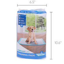 4_e7191e52-40b4-4f68-af70-38e4cafea1cc - Brands For Less USA