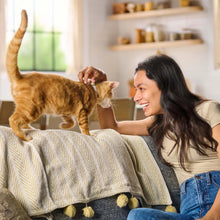 Alimento seco para gatos Meow Mix Tender Centers con sabores a salmón y pollo, bolsa de 6.5 kg