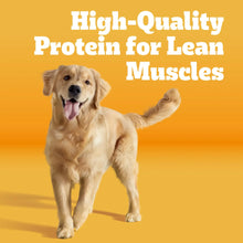 Pedigree High Protein Adult Dry Dog Food, Beef and Lamb Flavor