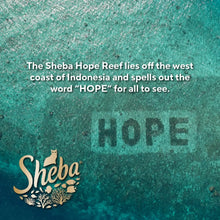 Sheba Perfect Portions Kitten Variety Flavors Pate Wet Cat Food, 2.6 oz Twin-Pack Trays (12 Pack)