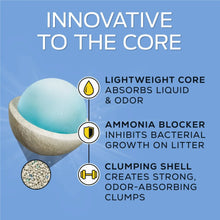 Purina Tidy Cats Lightweight 24/7 Performance Odor Control Clumping Cat Litter - Brands For Less USA