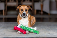 Multipet Plush Holiday Loofa Dog Toy with Sparkly Snowflakes, Stuffing & Squeaker, 3 pack with Red, Green & White, 12" Each