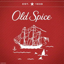 Old Spice Swagger Scent of Confidence Body Wash for Men (30 Fl. Oz., 2 Pk.) - Brands For Less USA