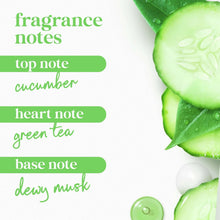 4pack-DoveBodyWashforWomenMoisturizingRefreshCucumber-GreenTeaCleanserAllSkin-20oz8-ec13f867-289_6864_6 - Brands For Less USA