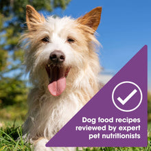 (12 pack) Nature's Recipe Grain Free Chicken & Lamb in Savory Broth Wet Dog Food, 2.75 oz Cup
