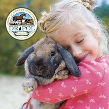 Dr. Pol Healthy Balance Alfalfa Recipe Rabbit Feed, 30-lb bag