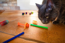 Vibrant Life 24 Piece Value Pack Cat Toys