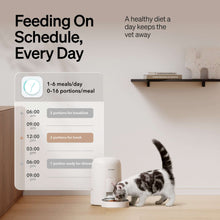 Petlibro 2L Air Automatic Cat Feeder, Battery-Operated Food Dispenser with 180-Day Battery Life, AIR Timed Feeder for Cats & Dogs, White