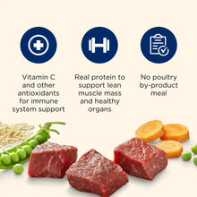 Nutrish Large Breed Real Beef, Pea, Carrot & Brown Rice Recipe Whole Health Blend Dry Dog Food, 14 lb. Bag (Rachael Ray)