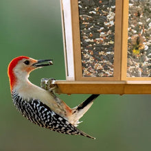 Harvest Seed & Supply Birder'S Medley Wild Bird Food, Premium Mix of Bird Seed, (20 Lbs.)