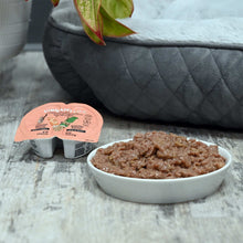 (6 pack) Vibrant Life Gourmet Salmon Entree Cuts in Gravy, Complete + Balanced, 2.64 oz Split Cup