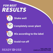 Bonide Captain Jack's 16 oz Neem Oil Ready-to-Use Spray for Insect, Fungus and Mite Control - Brands For Less USA