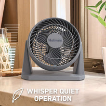Holmes Blizzard 3-Speed Air Circulator Fan, 90° Adjustable Tilt, Removable Grill, Gray