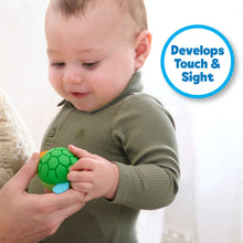 Playskool Animal Friends Sensory Balls Set, 5-Pieces, for Toddlers 18 Months and Up