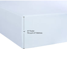 5_d804fdd7-2405-4231-9aea-2867dc3e381f - Brands For Less USA