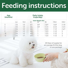 Nature's Protection Superior Care Grain Free Salmon Starter Dry Dog Food, Puppy & Mothers of All Breed, 3.3 lb Bag