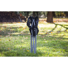 6-pack-5-_6 - Brands For Less USA