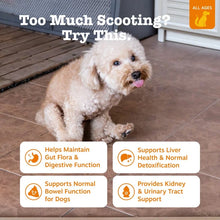Zesty Paws Scoot Away Bites for Dogs, Digestive Support Functional Dog Supplement, Chicken Flavor, 90 Count Soft Chews