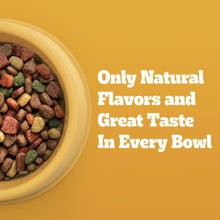 Pedigree High Protein Adult Dry Dog Food, Beef and Lamb Flavor