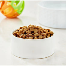 Special Kitty Complete Nutrition Chicken & Turkey Flavor Dry Cat Food, 16 lb Bag