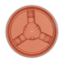 Maceta de terracota Bloem de 40,6 cm de largo x 40,6 cm de profundidad x 8,9 cm de alto