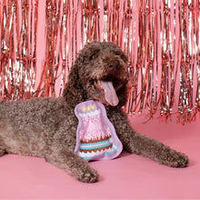 Happy Barkday Birthday Girl Box Dog Toy Bundle, 6-Piece Set (Pink)