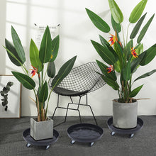 CNCEST 14.17-in L x 14.17-in D x 3.94-in H Black 3 Pieces Included Plant Caddy