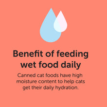 (6 pack) Vibrant Life Gourmet Salmon Entree Cuts in Gravy, Complete + Balanced, 2.64 oz Split Cup