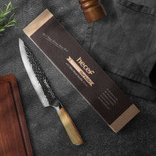 Hecef Japanese Chef Knife, Forged 67-Layer Damascus Steel Ultra Sharp Professional Hammered Carving Knife