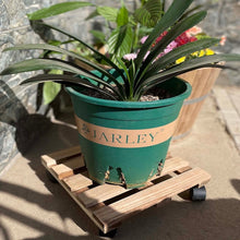 Style Selections 12-in L x 12-in D x 3.2-in H Brown Plant Caddy