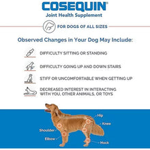 Cosequin Maximum Strength plus MSM Chewable Tablets (180 Ct.)