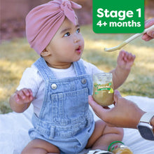 (6 pack) Beech-Nut Organics Stage 1 Organic Baby Food, Carrots, 4 oz Jar