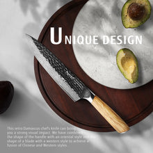 Hecef Japanese Chef Knife, Forged 67-Layer Damascus Steel Ultra Sharp Professional Hammered Carving Knife