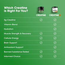 Optimum Nutrition, Micronized Creatine Powder, Unflavored, 1.32 lb (600 g)