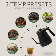 Willow Kitchen 1L Gooseneck Electric Kettle for Pour Over Coffee & Tea, Temperature Control & Automatic Shutoff, Rapid Boil Hot Water Kettle Pot, Black