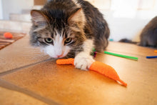 Vibrant Life 24 Piece Value Pack Cat Toys