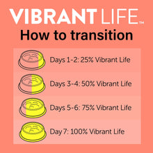 (6 pack) Vibrant Life Gourmet Salmon Entree Cuts in Gravy, Complete + Balanced, 2.64 oz Split Cup