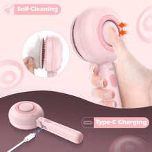 BEBANG Cat Steam Brush 3 in 1, One-Click Hair Removal Brush with Steam for Cats and Dogs