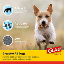 Glad Activated Charcoal Leak-Resistant Training Pads for Dogs, 23in x 23in, 100 Count
