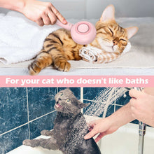 BEBANG Cat Steam Brush 3 in 1, One-Click Hair Removal Brush with Steam for Cats and Dogs
