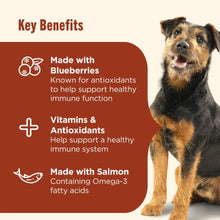 Nutrish Everyday Immune Support Chicken, Salmon, Blueberry & Pumpkin Recipe Dry Dog Food, 13lb Bag