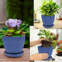 78d9d0d1-12d3-4fda-b82a-c89072ee2d4d.24c8516c76312e27036c3d81bd5d3f35 - Brands For Less USA