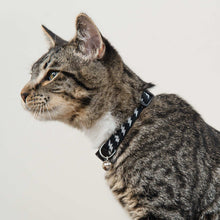 Vibrant Life, Reflective Lighting Bolt Breakaway Fashion Cat Collar, Black, One Size Fits Most