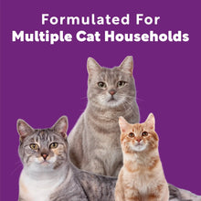 Scoop Away Multi Cat Litter With Meadow Fresh Scent, 38 lb. Box