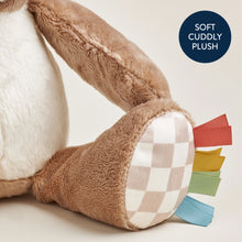 Itzy Ritzy Sweetie Snuggles™ Plush Bear - Brands For Less USA