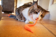 Vibrant Life 24 Piece Value Pack Cat Toys