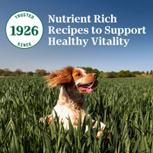 8-bfc8fd2a-df4b-4454-9623-169ee7d7dbe9-_9 - Brands For Less USA