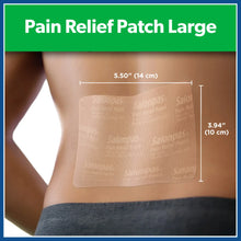 Salonpas Mild to Moderate Pain Relief Patch, Large, 9 Count - Brands For Less USA